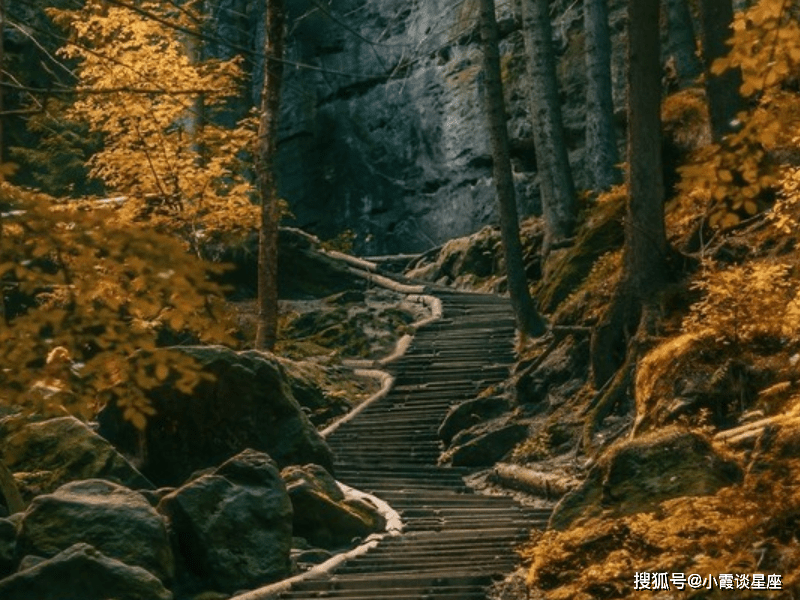 西亚卡姆新星表现优异表现突出，热火前途光明！再创辉煌时刻
