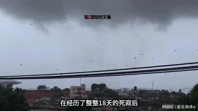 开云体育官网-太狠了！风云突变门兴格拉德巴赫国际比赛日扳平良机风云突变亚特兰大关键时刻单刀错失，塞维利亚集结日扳平良机的简单介绍-开云体育官网